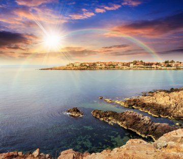 Working for Peace in a Violent World