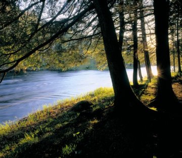 Falling in Love with the Earth