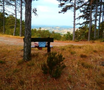 Love Letters From La Pineta