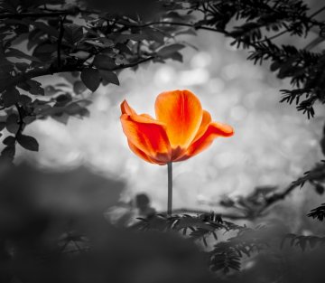 Where Fear Meets Hope: Stories From Here and There