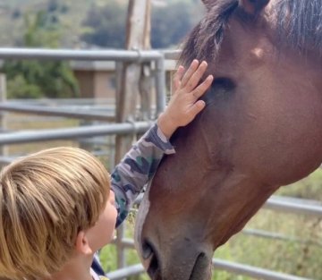 Square Peg Foundation: Where Kids & Horses Heal Each Other