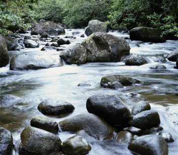 Taiji Quan: the Wisdom of Water