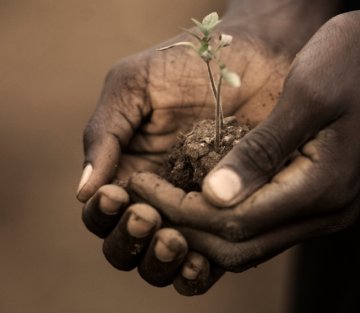 The Soil's Story Is the Story of Us