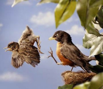 Embracing Groundlessness: When Everything Seems Out of Control