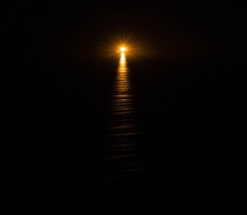 Trauma & the Healing Power of Fundamental Consciousness