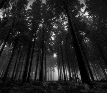 The Hero/Heroine's Journey in Communication: Responding to the Call of Our Time