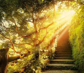 A Reset for Unprecedented Times