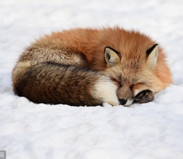 Wintering: the Power of Rest and Retreat in Difficult Times
