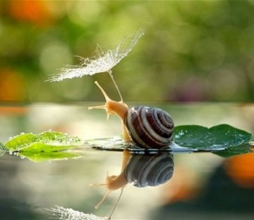 The Artist's Way, Serendipity & My Inner Sanctuary