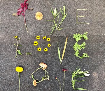 Emily's Affirmations: a Valentine's Day Gift to Yourself