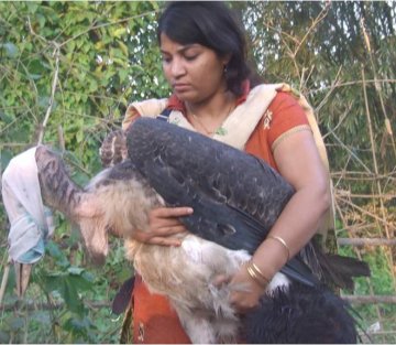 She Convinced a Community to Love a 'Bad Omen'