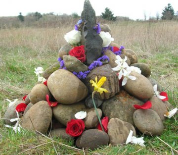 Radical Joy for Hard Times