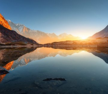 The Biology of Wonder: Finding the Human in Nature