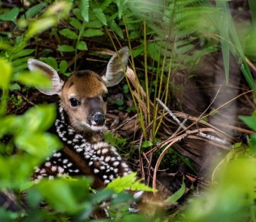 The Clearness Committee: a Communal Approach to Discernment in Retreats