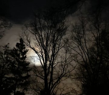 A Counterculture of Commitment