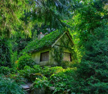 Re-inhabiting the World