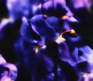 Aura Glaser: a Moment of Beauty