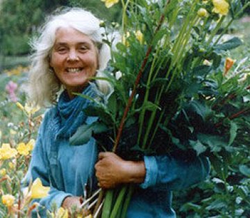 7 Principles of Gardening