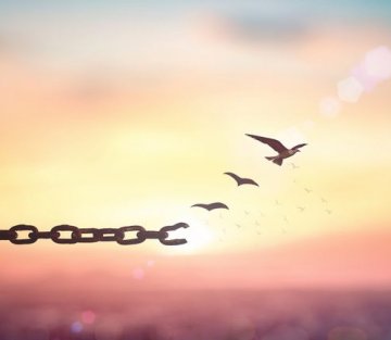 Transforming Trauma