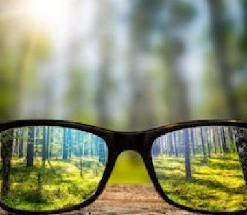 On Meeting Loss, Finding Life