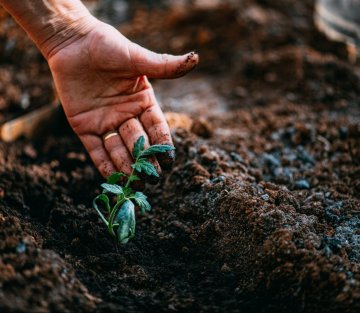 The Need to Grow
