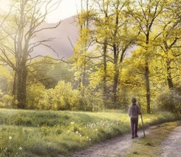 Murmurations: Returning to the Whole