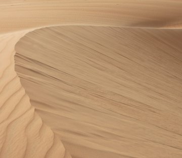 Once I Took a Weeklong Walk in the Sahara