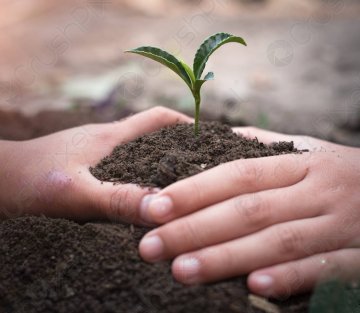 A Primordial Covenant of Relationship