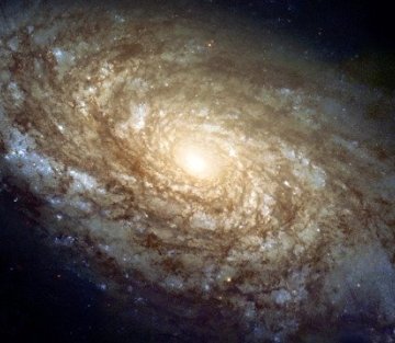 7 Guidelines for Healthy Social Connection