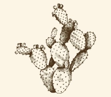 A Prickly Pear History Lesson