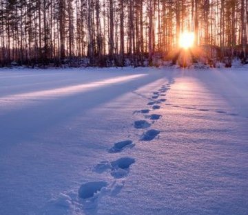 Alison Benis White: Light on the Page