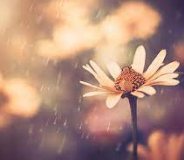 The 8 Kinds of Humility to Help You Stay Grounded