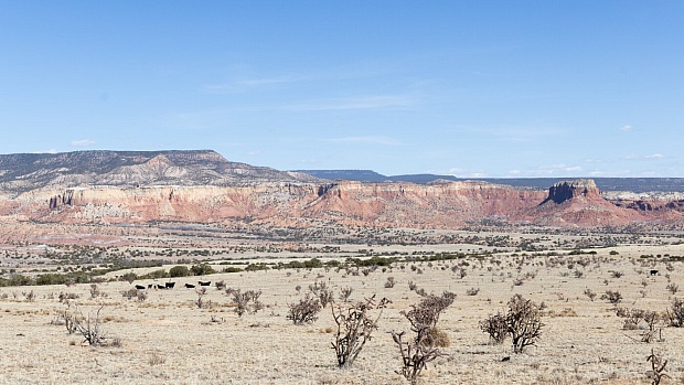 Georgia O’Keeffe Legacy re-examined 40 Years After Her Death