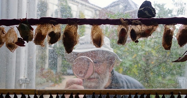 Oliver Sacks on Gratitude, the Measure of Living, and the Dignity of Dying – the Marginalian