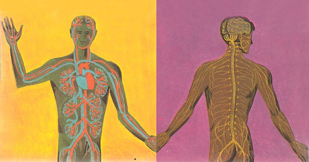 Polyvagal Theory and the Neurobiology of Connection: the Science of Rupture, Repair, and Reciprocity – the Marginalian