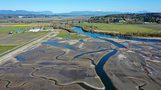 To Save salmon, a Tribe Near Seattle Is Flooding Farmland