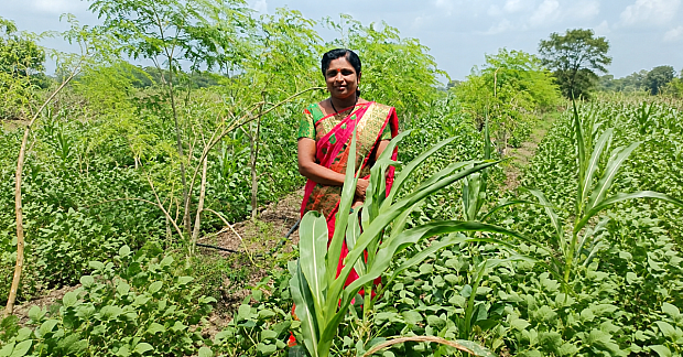 With Just 1.5 Acres, This Maharashtra Farmer Built a Rs 600-a-Day Livelihood