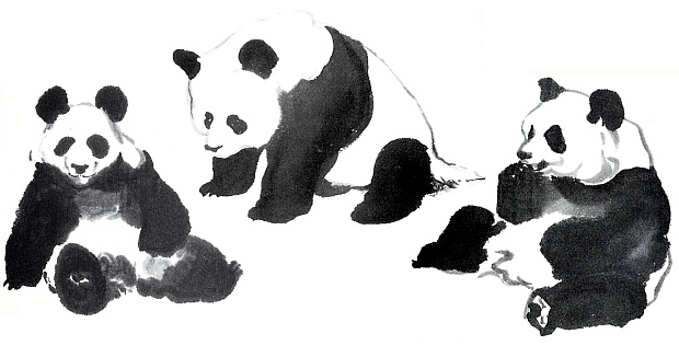 What It’s Like to Be a Panda – the Marginalian