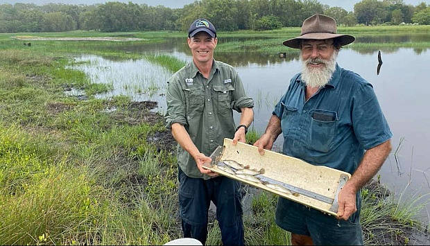 Salt Water Restores Native Queensland Ecosystems After Dozens of Tidal Gates Removed
