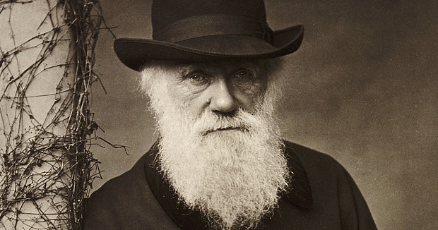 Darwin’s Greatest Regret and His Deathbed Reflection on What Makes Life Worth Living – the Marginalian