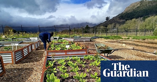 How a South African Town Cleaned up Its Polluted River Using stones, Wood and Sand | Global Development | the...