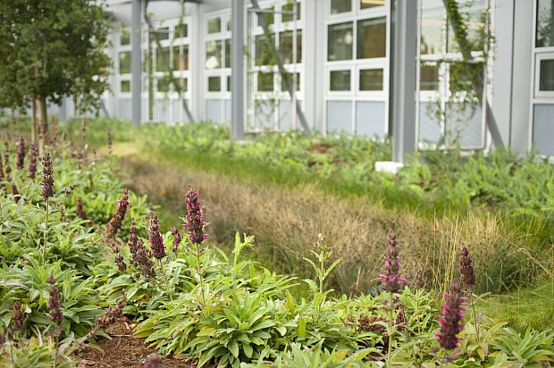 Forget Recycling. What If We Could Compost or Reuse Everything?