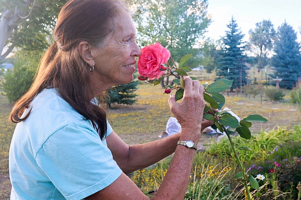 A Peaceful Flower Garden Becomes a Free 'You Pick' Haven | Ap News