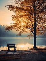 Sanctuaries of Silence