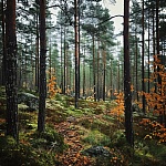 Conversation with the 'World's Happiest Man'