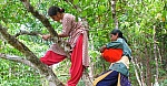How 20 Women Revived a Dying Forest