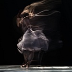 Amy Leach: the Salt of the Universe