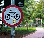 19 Cities Achieve 'Remarkable Reductions' in Air Pollution