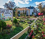 Near Philadelphia's New Green Spaces, a Dramatic Reduction in Crime