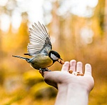 A Dance of Invisible Kindness